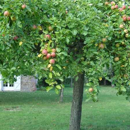Domaine De La Siaule Couette-café Saint-Germain-d'Aunay