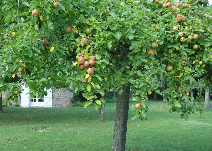 Domaine De La Siaule Frühstückspension Saint-Germain-d'Aunay
